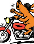 Avatar de Usuario