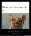 Avatar de Usuario