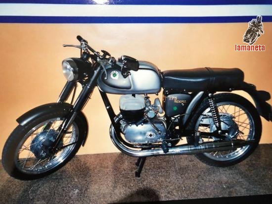 Ossa  175 sport  -  175 cc