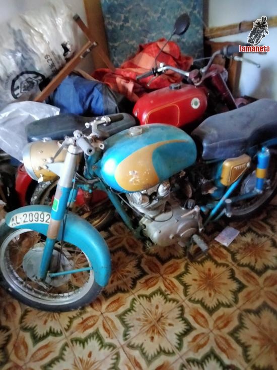 Ducati 175  -  250 cc