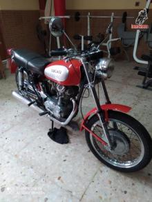 Ducati  250 ROA 