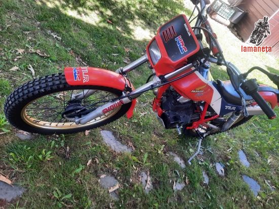 Honda Tlr 200  -  200 cc