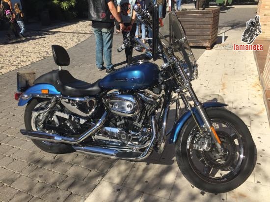 HARLEY DAVIDSON 1200 CUSTOM  -  1200 cc