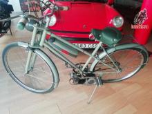mosquito  50 