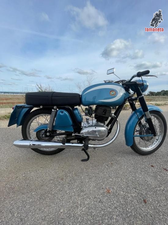 Hv Angusts  -  160 cc