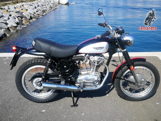 DUCATI 350  SCR  -  350 cc