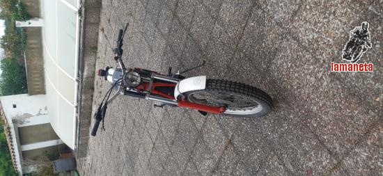 Montesa Cota 248  -  248 cc