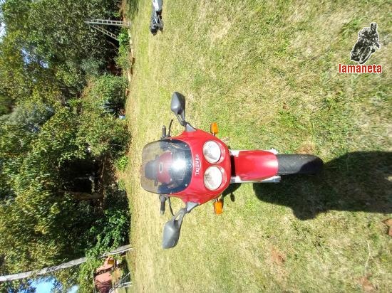 Triumph sprint 900  Moto clásica Triumph sprint 900  -  900100 cc