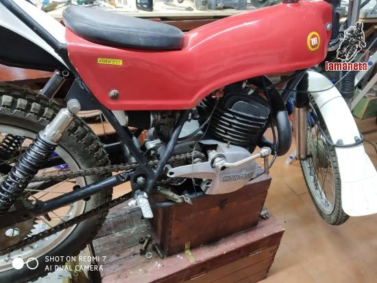 MONTESA COTA 247  -  247 cc