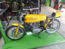 Ducati   Elite 
