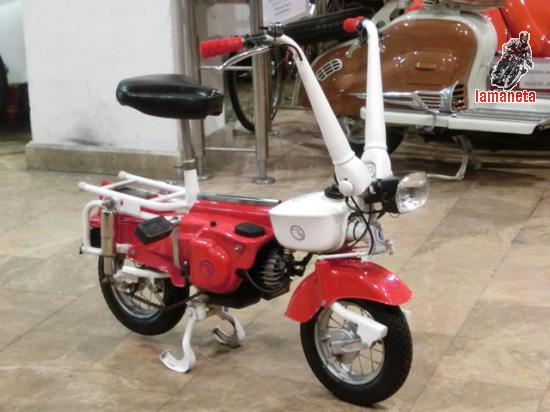 CARNIELLI MOTOGRAZIELLA  -  50 cc