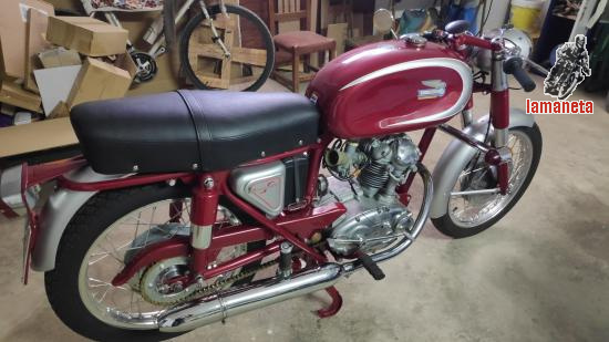 Ducati Sport  -  160 cc