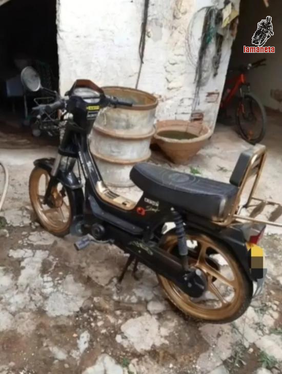 Derbi Variant start world champion  -  50 cc