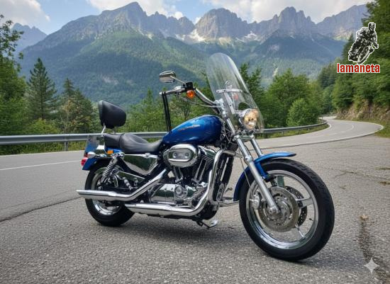 HARLEY DAVIDSON 1200 XL SPORSTER CUSTOM &nbsp;-&nbsp; 1200 cc