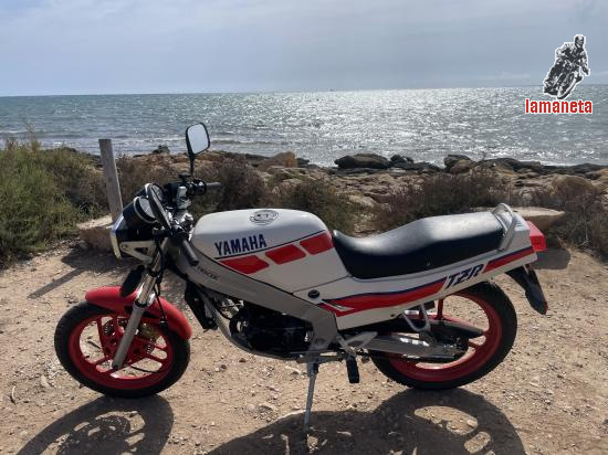 Yamaha Tzr 80 Deltabox de 80 cc