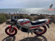 Yamaha  Tzr 80 D 