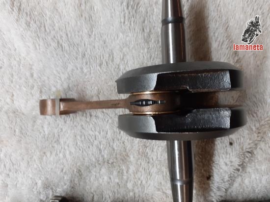 Anuncios de jose antonio