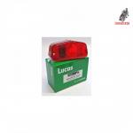 Tulipa Piloto Lucas 564 Original