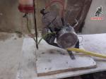 Motor  de Guzzi 65, esta revisado con rodamientos nuevos etc, dispone de su Carburador IRZ, palanca de Arranque, Palanca del Embra