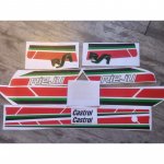 rieju RS1 blanca juego de pegatinas  juego de pegatinas o adhesivos para moto clasica rieju rs1 blanca