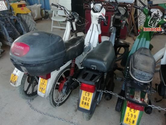 derbi derby varian