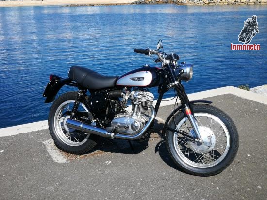 DUCATI 350  SCR