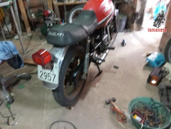 ducati 350 forza