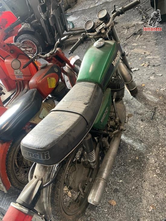 BENELLI 250