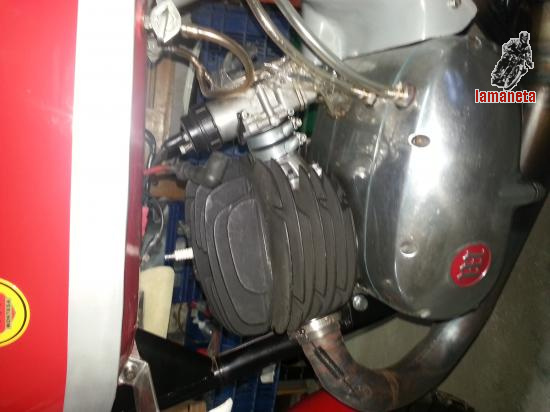 Montesa Velocidad/Resistencia
