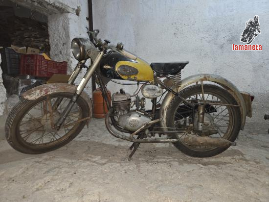 Aleu 125