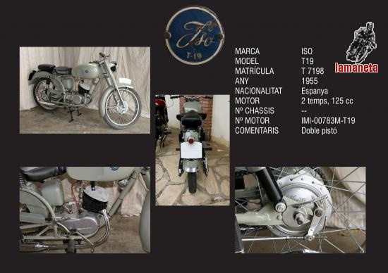 ISO T19