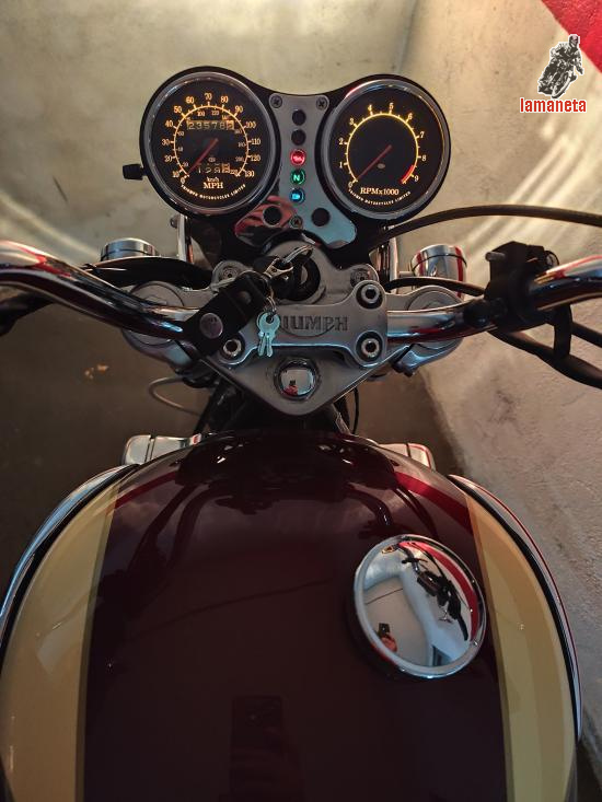 Triumph Thunderbir