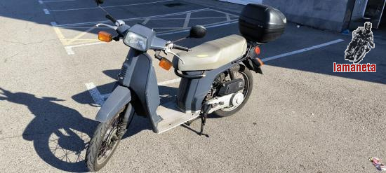 Honda Scoopy Sh80
