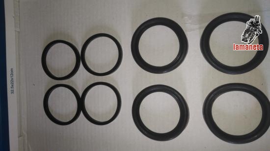 Retenes de los pistones de freno in board de las sanglas 400