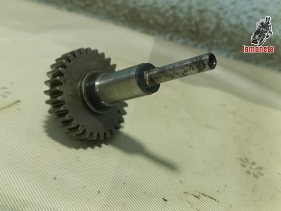 Engranaje distribucion encendido Ducati single, todas los mo