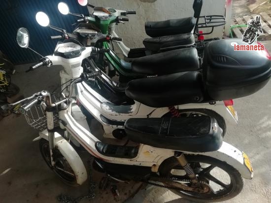 derbi derby varian