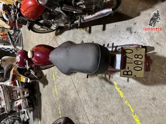 DERBI CABEZA DE HORMIGA