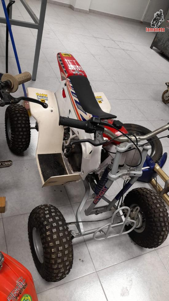 Lem Lem 50